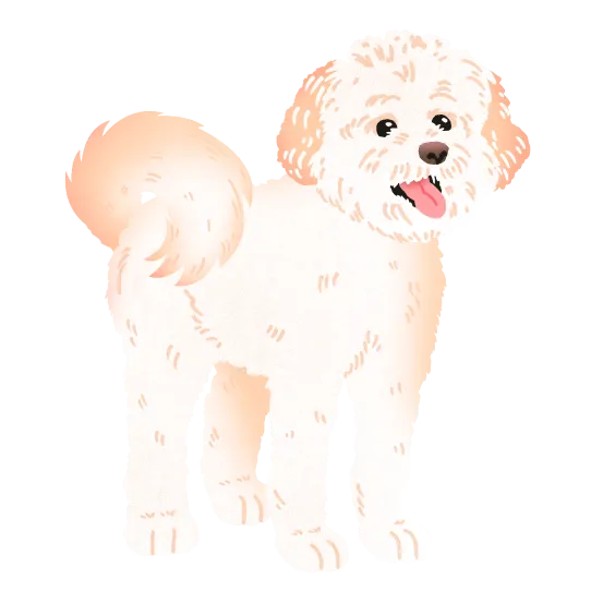 Charlie
